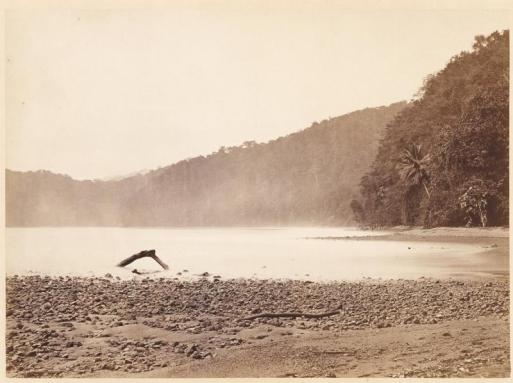 Tropical Scenery: The Terminus of the Proposed Canal, Limon Bay (Darien Expedition) Source: https://americanart.si.edu/artwork/tropical-scenery-terminus-proposed-canal-limon-bay-darien-expedition-34084